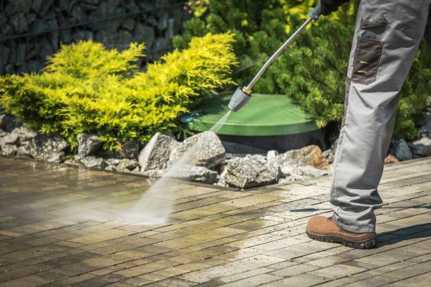 Best Animal Enclosure Cleaning  in Mcgraw, NY