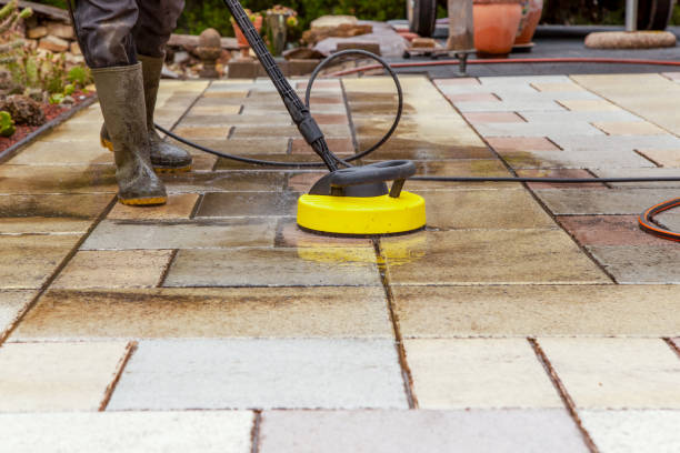 Animal Enclosure Cleaning in Mcgraw, NY